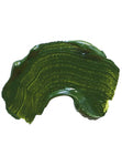 Dimension Acrylic - Olive Green (75ml)